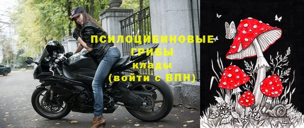 эйфоретик Аркадак