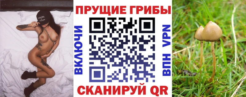 Галлюциногенные грибы ЛСД  даркнет сайт  Унеча 